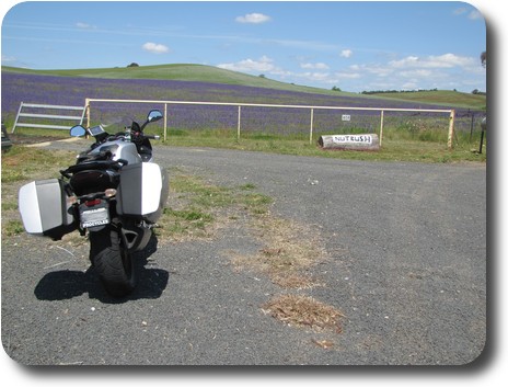 Motorcycle parked at gate to property 