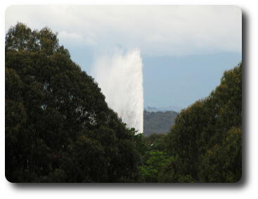 Tall water jet fountain visible beyond trees