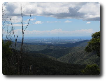 Tree covered hills extending to ocean beyond