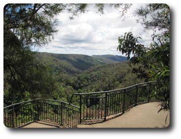 Heavily treed valley heading off into the distance