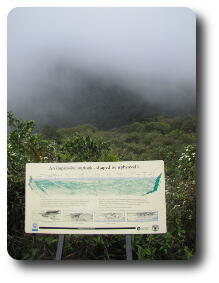 Lookout display board surrounded by fog