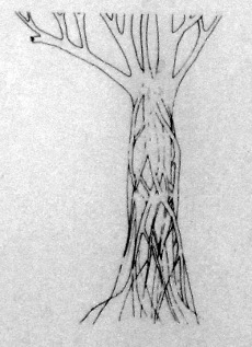 Tree outline with roots from growth to ground