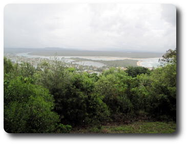 View over small trees to river and settlement, with bush on other side of river