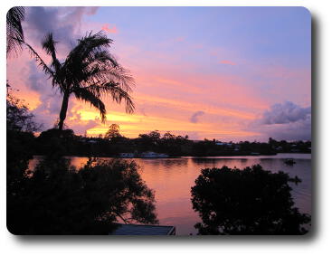 Golden and pink sky across river with palm tree in foreground