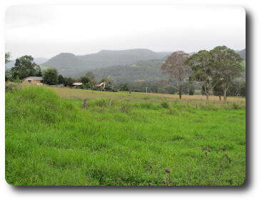 Green field leading to distant tree covered hills