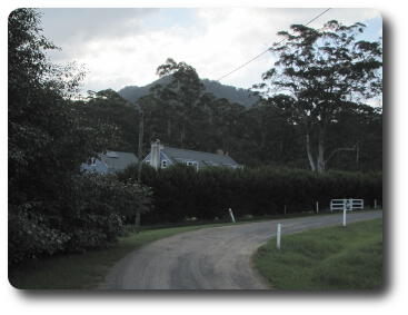 House nestled below hill with trees in front and behind