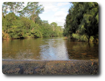 Kangaroo River from small weir at township