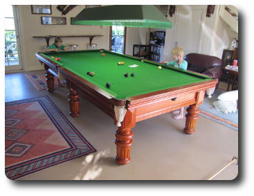 Boys playing at billiards table