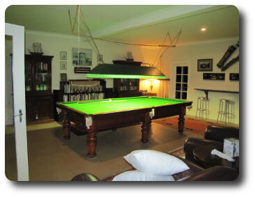 Pool/billiards table with traditional light in games room