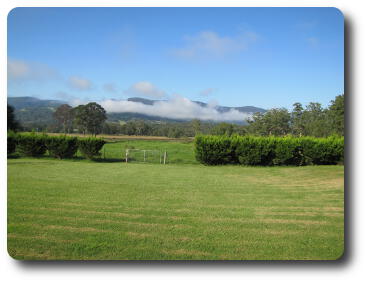 Lawn, shrubs and paddock leading to distant hills with fog patches