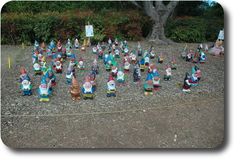 Gnomes just lined up, somewhat disorganised though