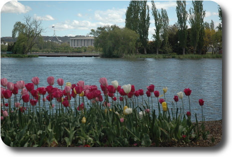 View across pond to building and flag pole in the distance