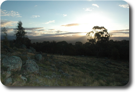 Sun setting behind tree, with haze and mist around distant mountains