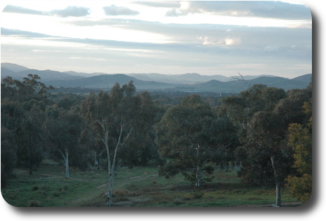 View over trees, to distant rolling hills in late afternoon sun