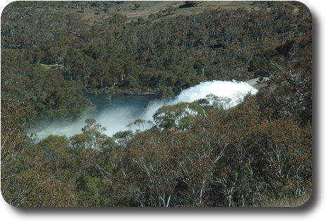 Plume of water amidst trees and a river