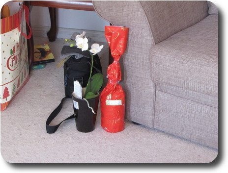 Pot plant and wrapped bottle of wine next to chair