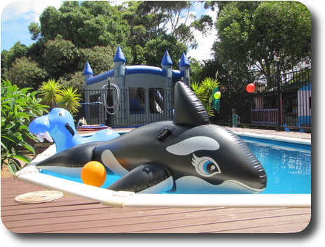 Swimming pool with inflatable shark, walrus and yellow ball