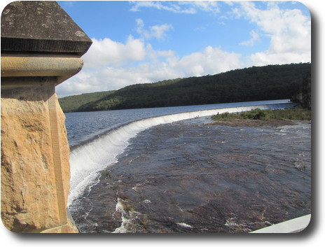 Semi-circular spillway with water flowing over, and some vegatation on spillway