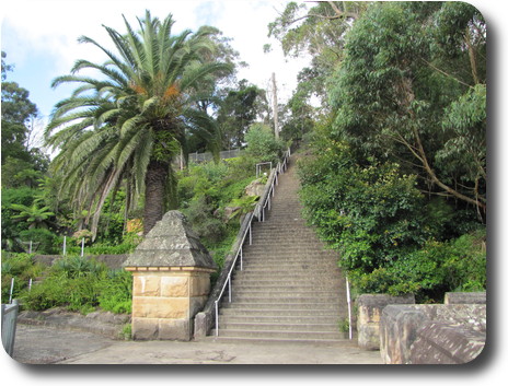 Stairs, trees on right, palm tree on left and sandstone turret at base of stairs