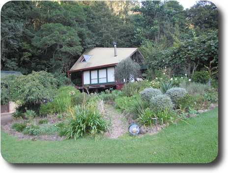 Cottage in amongst the trees, with steep roof, garden in front