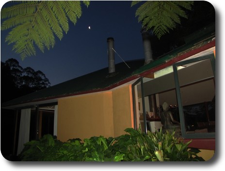 Half moon between fern fronds with back of house also