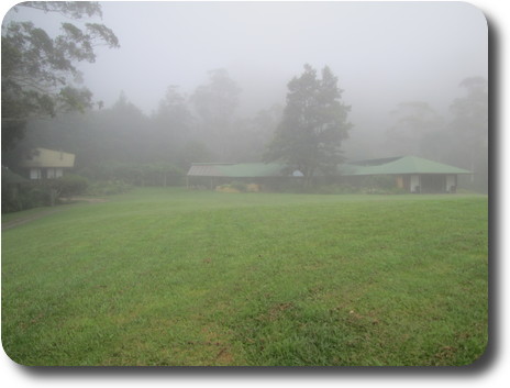 Front lawn and house with fog, disappearing into trees behind