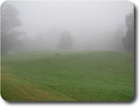 Grassy mound with cement sphinx, and foggy view to house behind