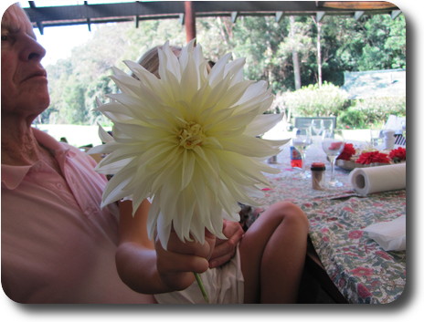 Little girl with face covered by a large flower, sitting on man's lap