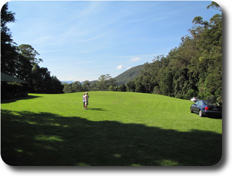 Couple on large lawn,  with car headed out driveway