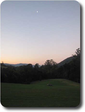 Small moon in dusk sky, lawn ornament on green lawn leading to trees