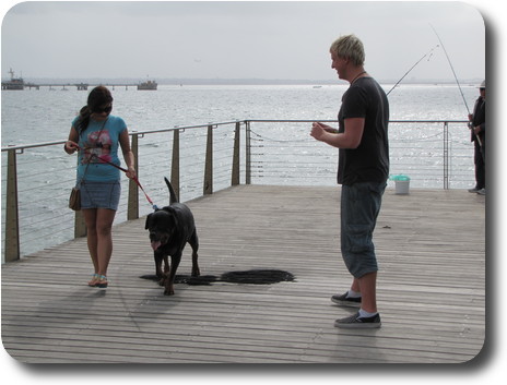 Man, woman and dog on wharf with burnt patch in the middle