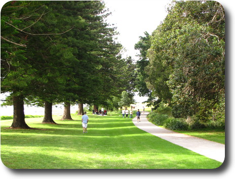 Cement path, green grass between trees, and near the water's edge