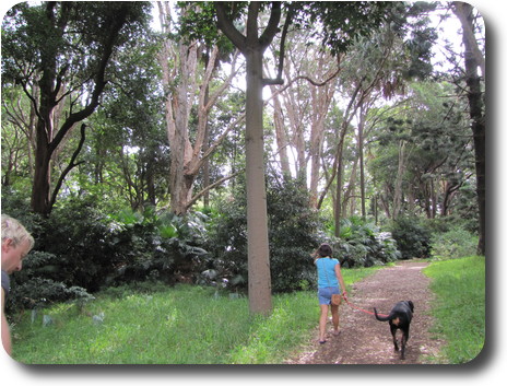 Lady with dog walking away on a track through bushland