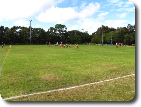 Green playing field with goal posts and trees behind, plus 2 teams of 6 year olds