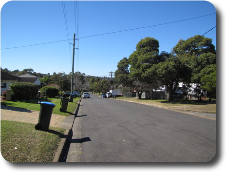 Suburban street, old and new houses, old established vegetation