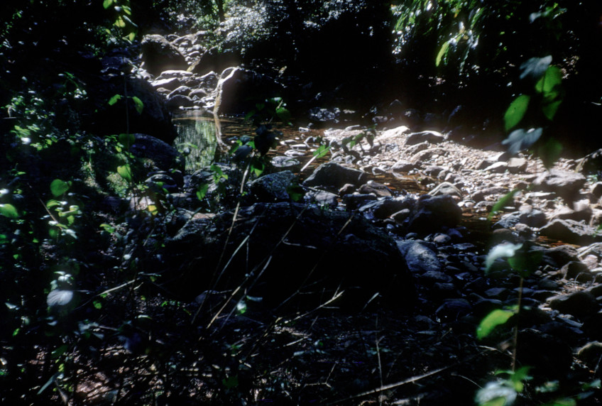 creek, perhaps National Park