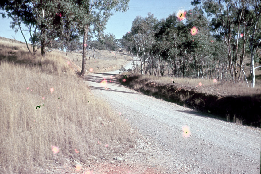 Country road somewhere