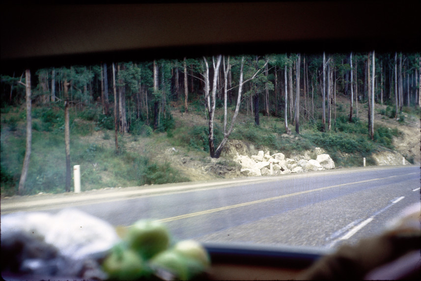 QLD May holiday trip: along the road somewhere