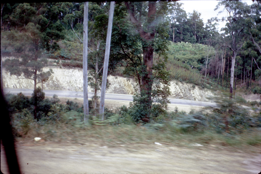 QLD May holiday trip: along the road somewhere