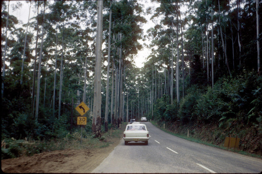 QLD May holiday trip: along the road somewhere