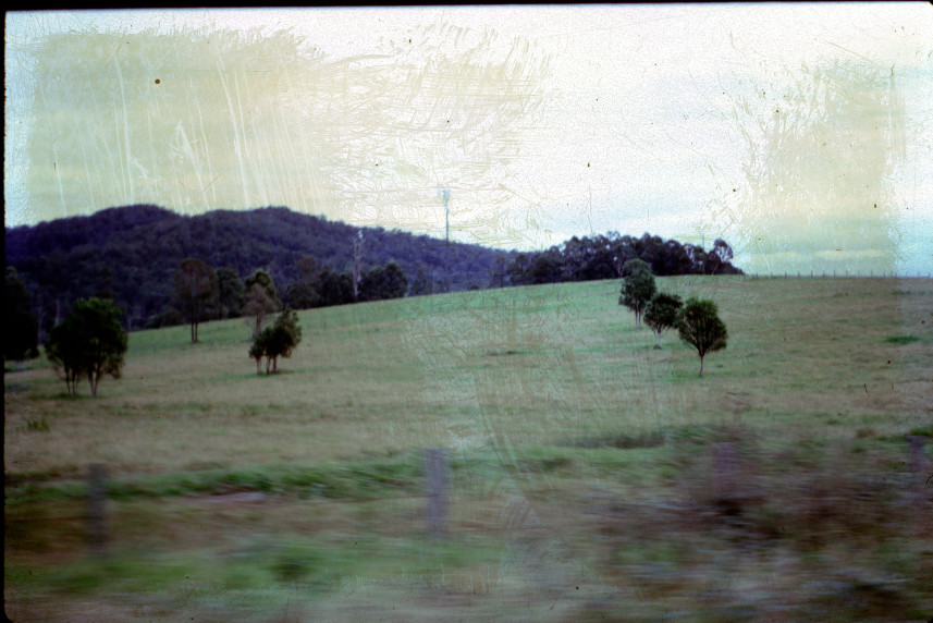 QLD May holiday trip: along the road somewhere