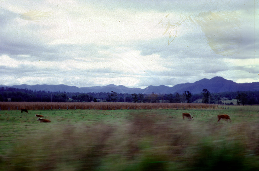 QLD May holiday trip: along the road somewhere