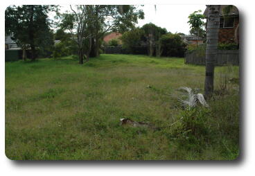 From SE corner, looking north toward driveway