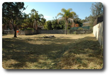 From SW corner, looing east along back fence