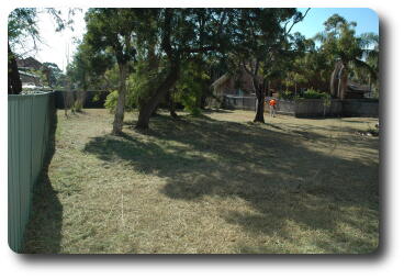 From SW corner, looking north along side fence