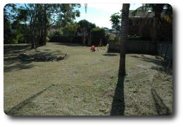 From SE corner, looking north with surveyor at work