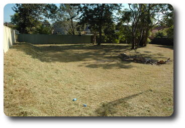 From SE corner, looking west along back fence