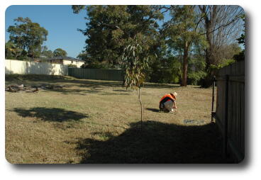 From garage (NE) corner, looking west, with surveyor at work