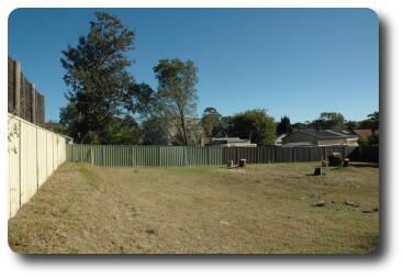 Looking west along back fence