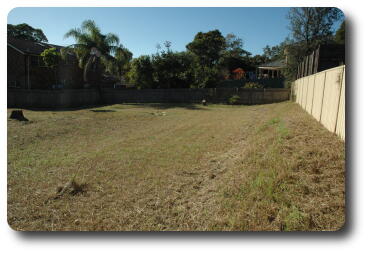 Along the back fence, looking east